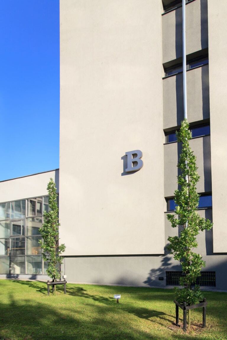Remont budynku Collegium Novum