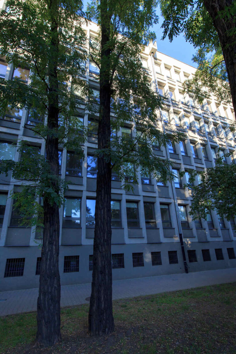 Remont budynku Collegium Novum